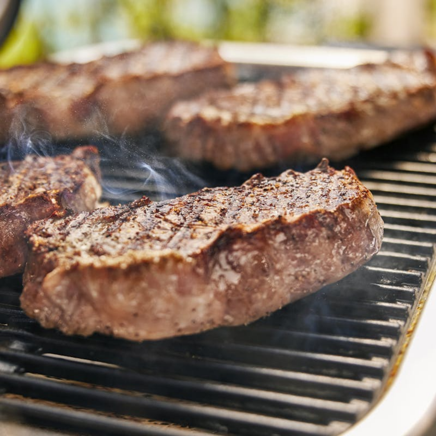 Weber Lumin Compact Electric Grill [Coming Soon]