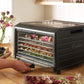 Excalibur Performance 6 Tray Dehydrator with Digital Control