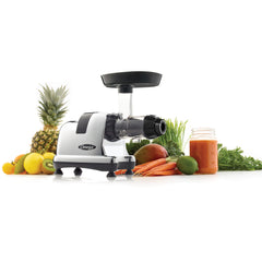 Omega J8228C Cold Press Juicer 2