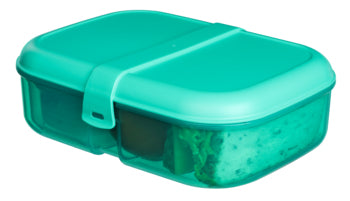 Sistema 1.1L Ribbon™ Lunch with Mini Bite™- Minty Teal